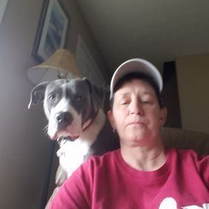 Meet your Posher, Susie